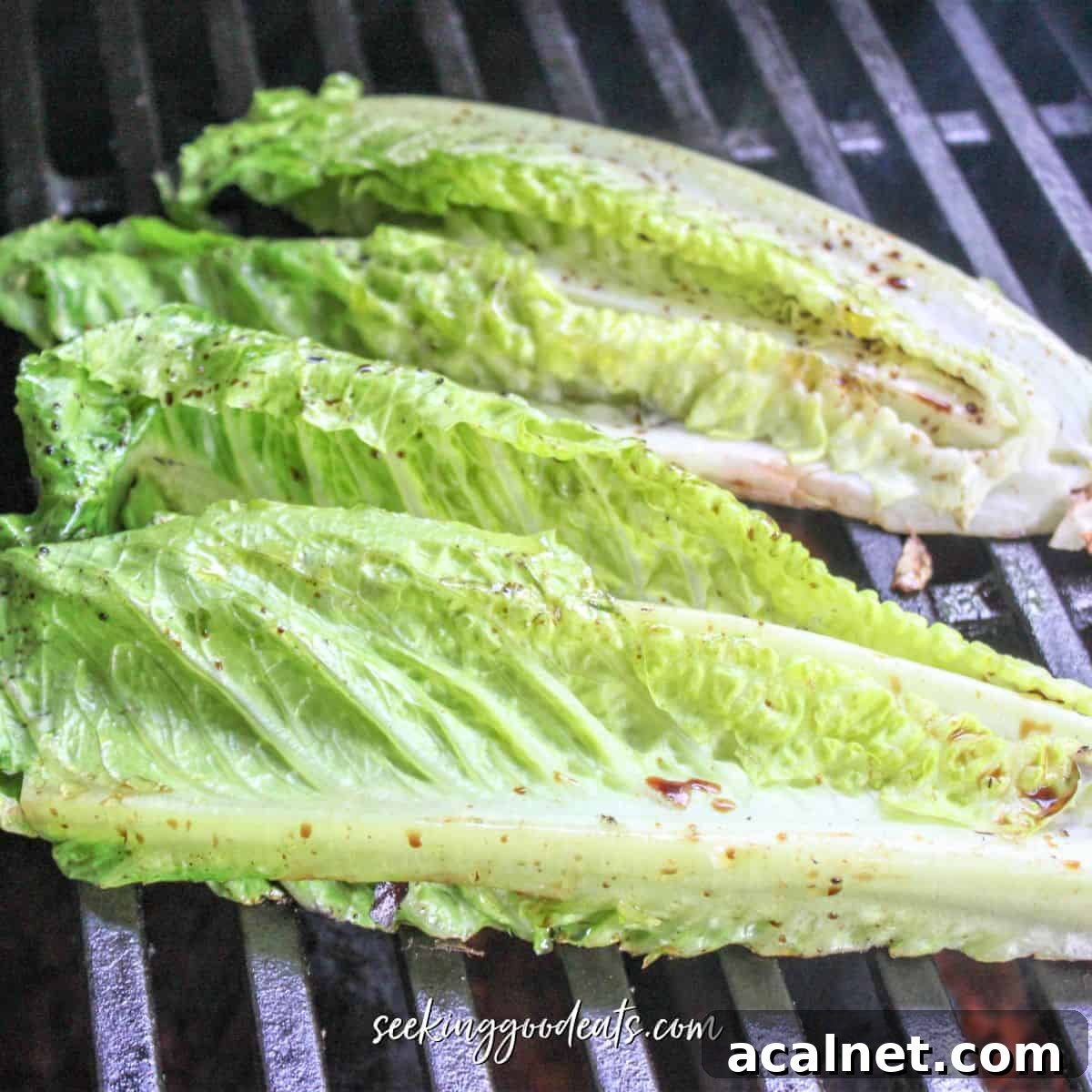 Bright green romaine on a grill.