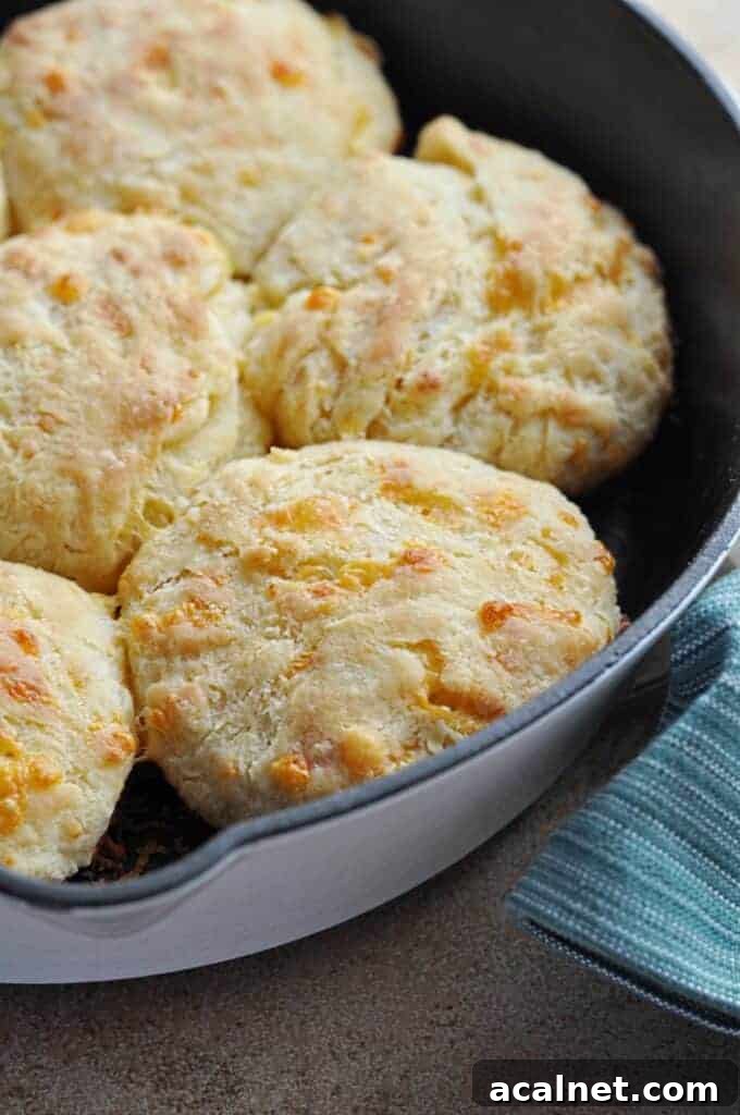 Cheddar cheese biscuits in pan