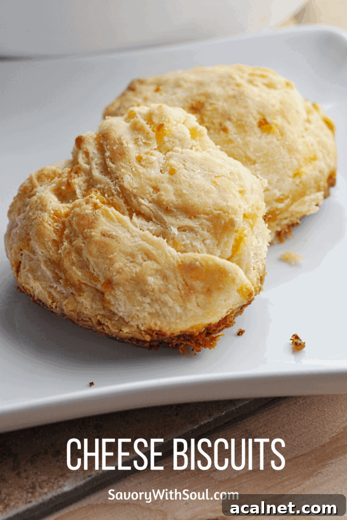 Cheese Biscuits Pin 