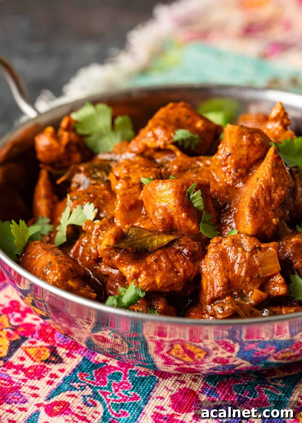 closeup side view: cilantro on top of bowl of vindaloo