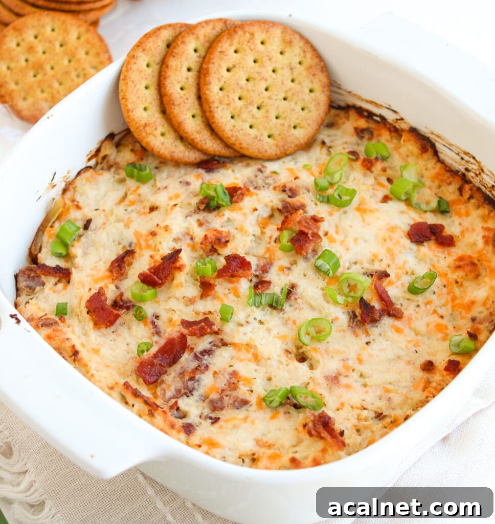 crack chicken dip with crackers on top