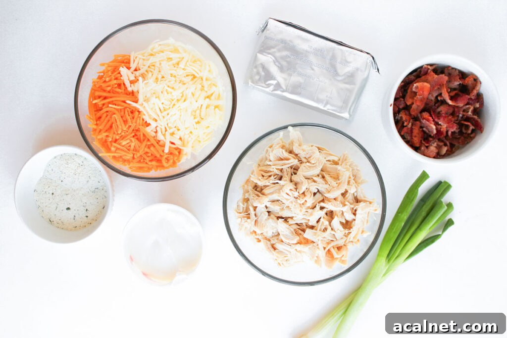 crack chicken dip ingredients on countertop