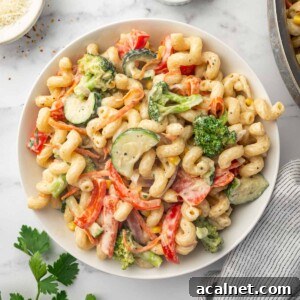 A plate of creamy veggie pasta.
