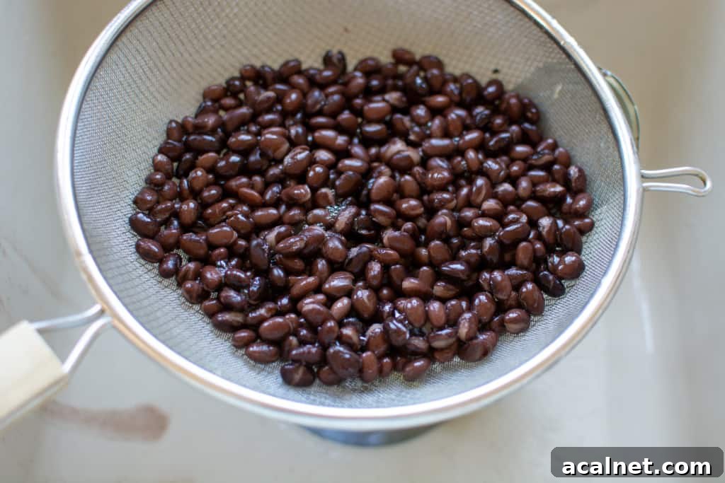 Black beans sitting in a fine mesh strainer in a white ceramic sink. 
