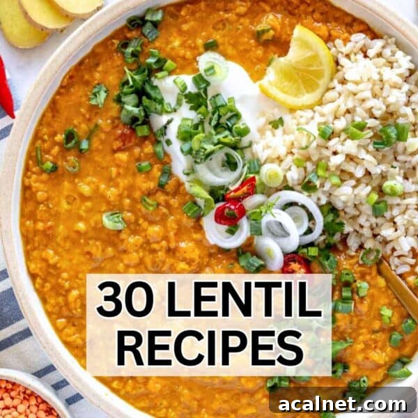 Comforting Lentil Soup with Vegetables and Herbs 17 Lentil recipes you want to try.