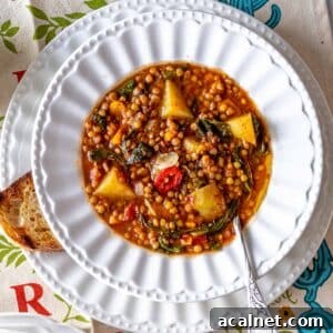 Comforting Lentil Soup with Vegetables and Herbs 11 easy lentil soup in a white bowl with bread and a spoon