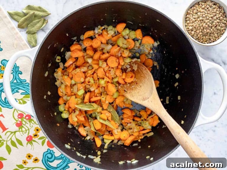 Comforting Lentil Soup with Vegetables and Herbs 12 flavor base with carrot, onion, and celery