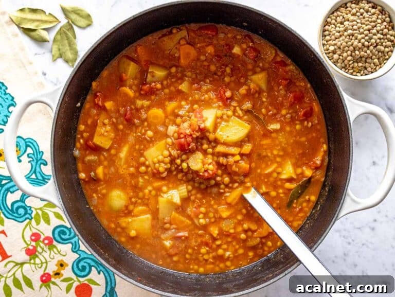Comforting Lentil Soup with Vegetables and Herbs 13 lentil soup cooking in a large pot