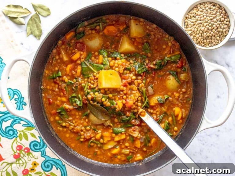 Comforting Lentil Soup with Vegetables and Herbs 14 lentil soup with leafy greens in a large pot