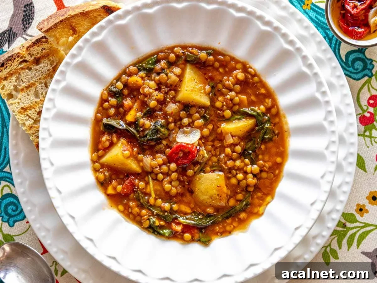 Comforting Lentil Soup with Vegetables and Herbs 3 lentil soup on a white soup plate