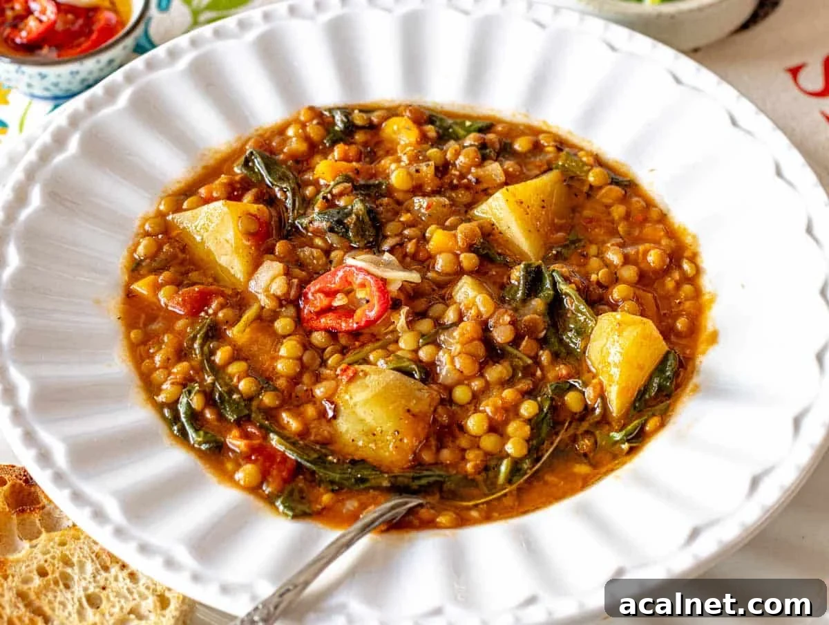 Comforting Lentil Soup with Vegetables and Herbs 6 warm lentil soup in a white bowl