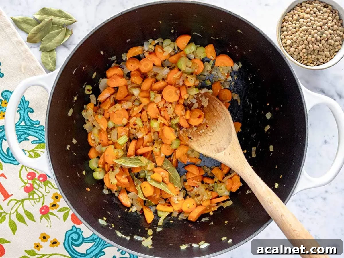 Comforting Lentil Soup with Vegetables and Herbs 7 flavor base with carrot, onion, and celery