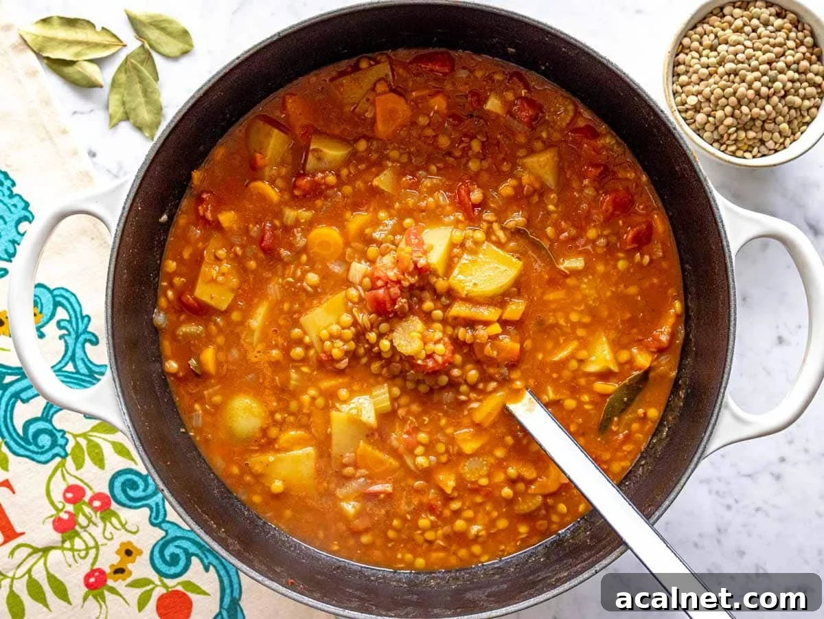 Comforting Lentil Soup with Vegetables and Herbs 8 lentil soup cooking in a large pot