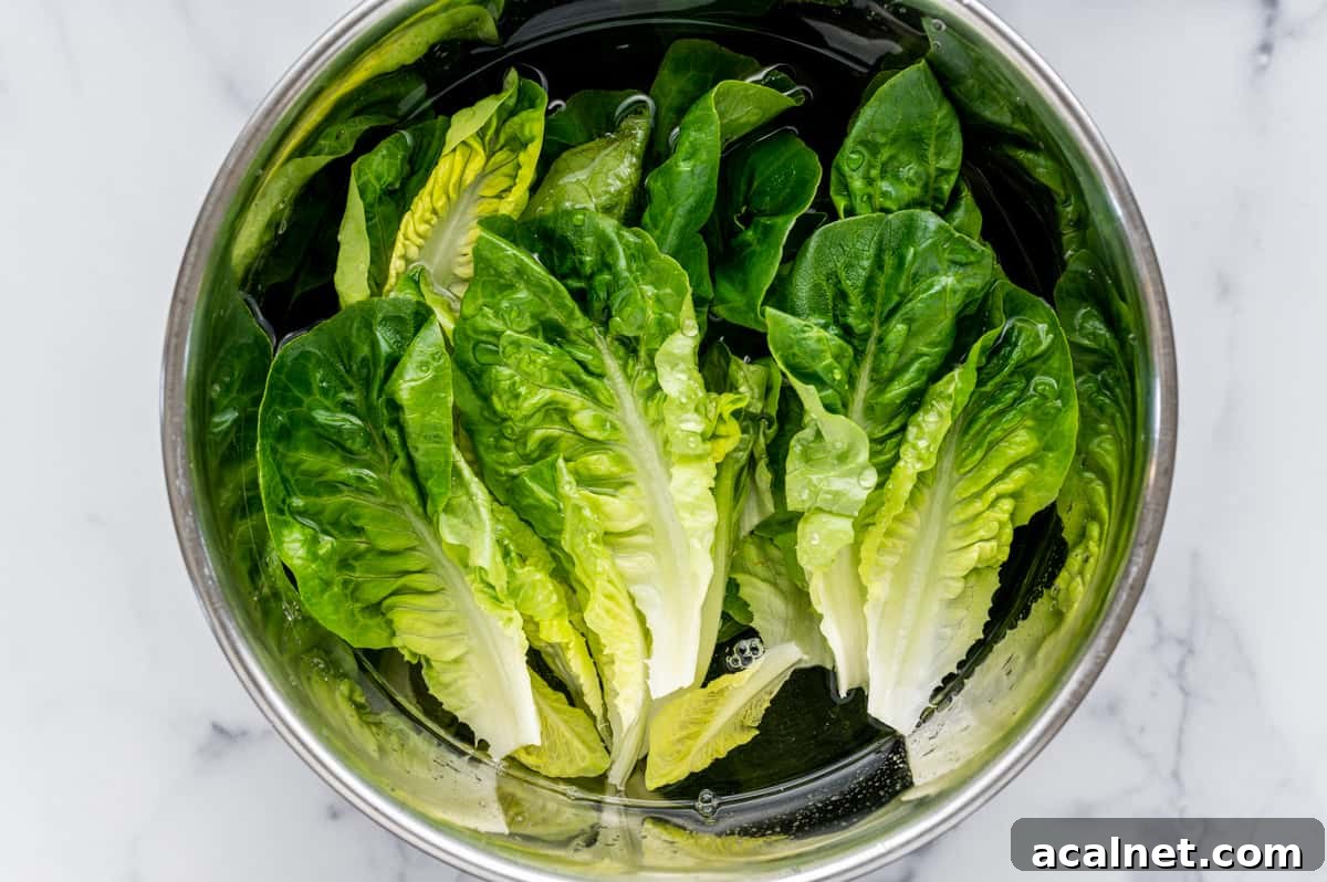 washing Little Gem Lettuce in a large stainless steel bowl full of water.