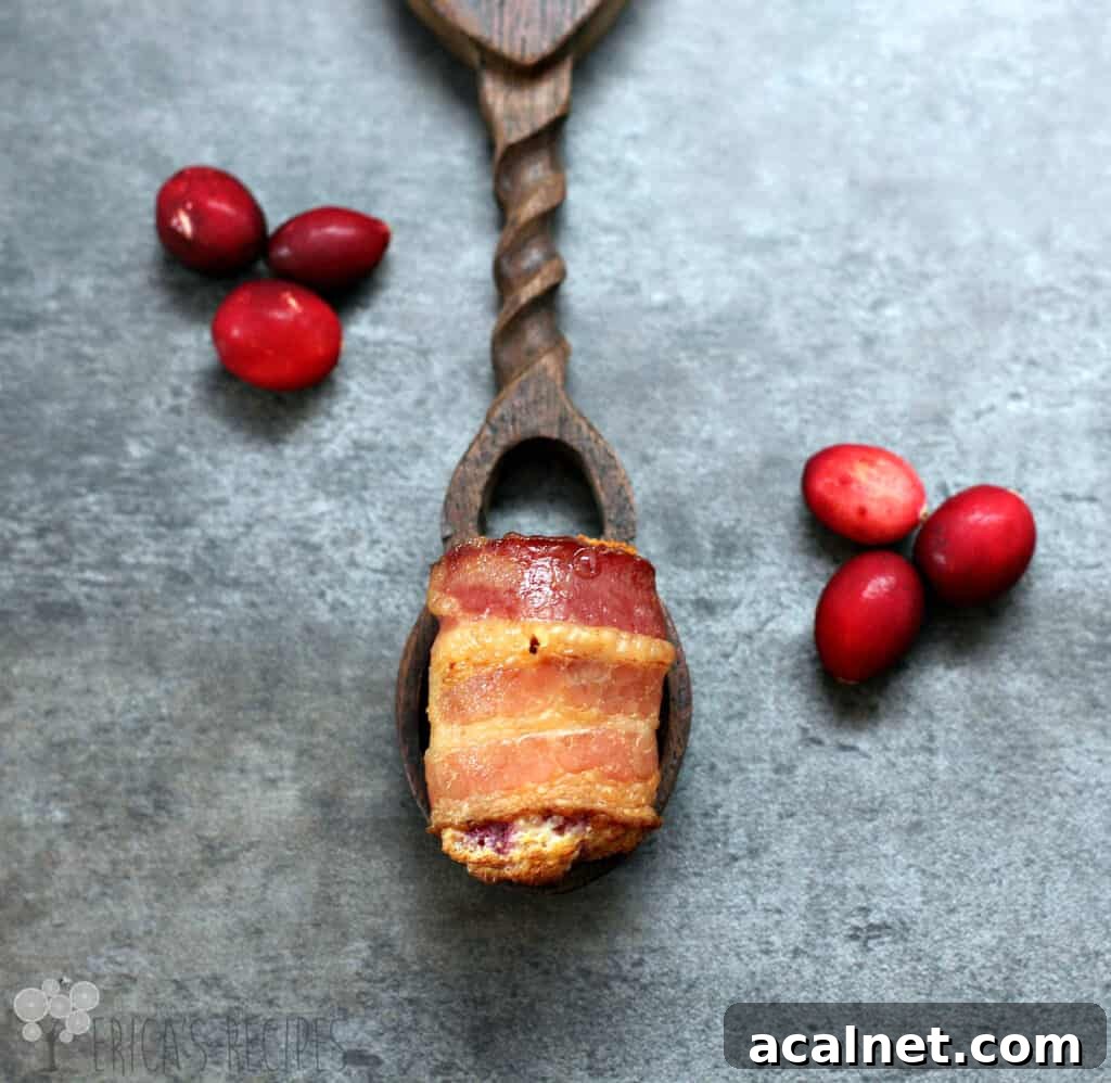 bacon wrapped bite on wood spoon, cranberries sprinkled around; blue background