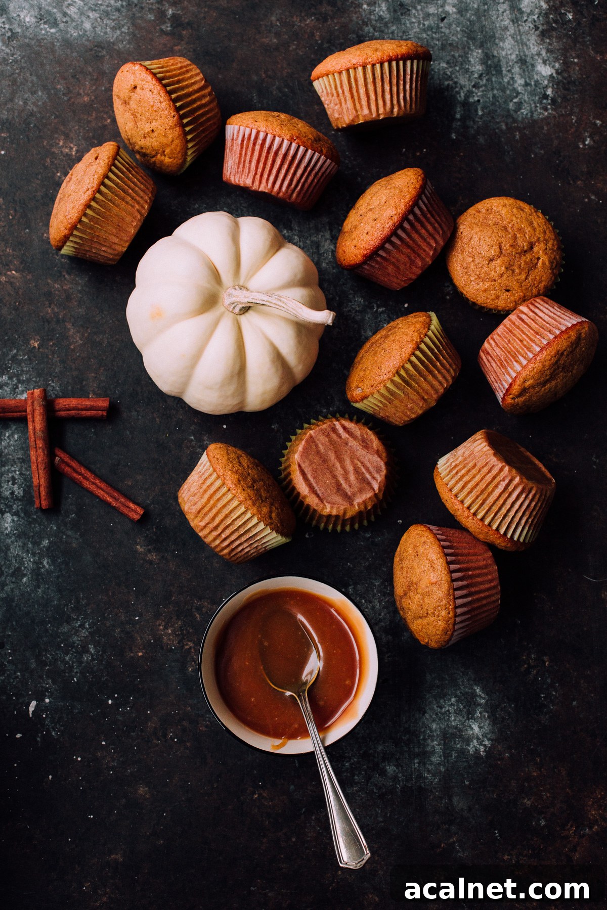 Pumpkin Cupcakes - an easy pumpkin cupcake recipe for the fall holidays!