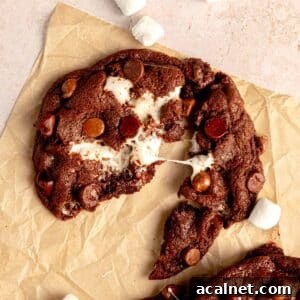 Double chocolate cookie broken in half with gooey marshmallow middle