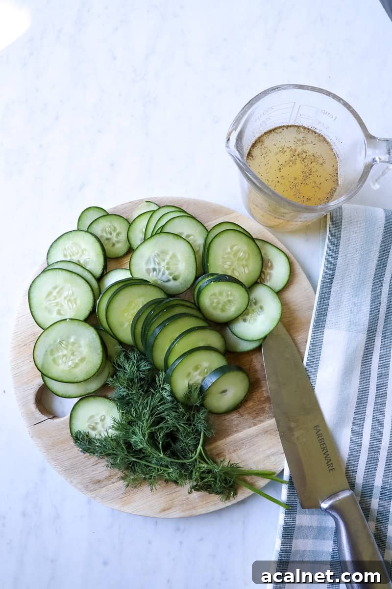 ingredients for cucumber salad - cucumbers, dill, vinegar