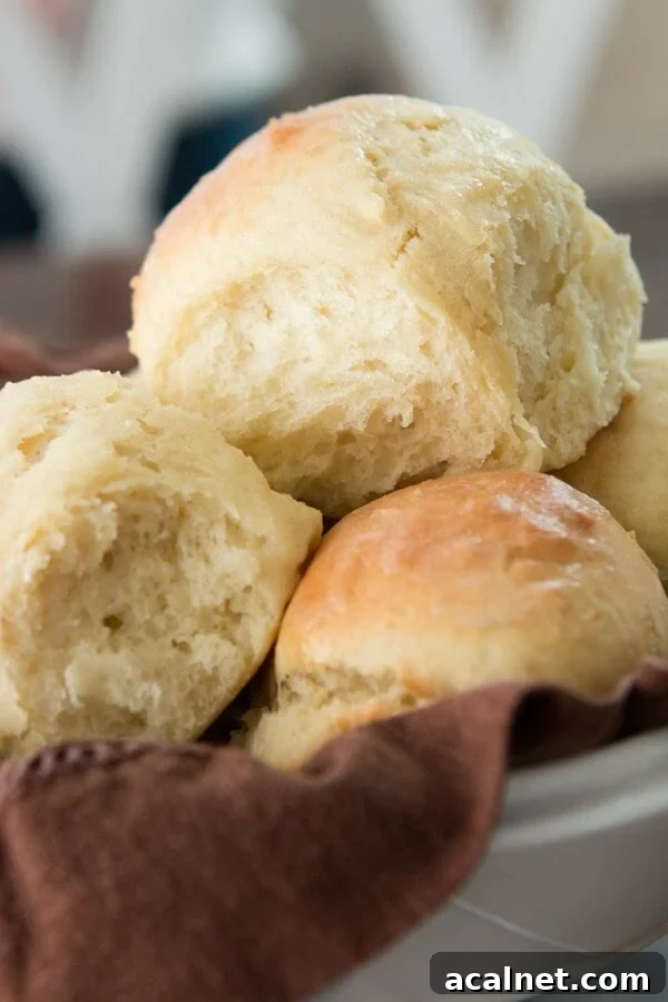 On a time crunch but still want soft and fluffy rolls for dinner tonight? These one hour rolls are soft and fluffy perfection! On a time crunch but still want soft and fluffy rolls for dinner tonight? These one hour rolls are soft and fluffy perfection!