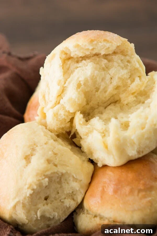 On a time crunch but still want soft and fluffy rolls for dinner tonight? These one hour rolls are soft and fluffy perfection! On a time crunch but still want soft and fluffy rolls for dinner tonight? These one hour rolls are soft and fluffy perfection!