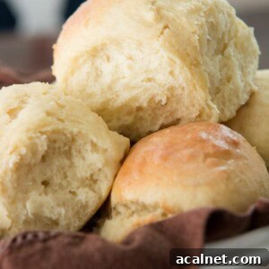 One-Hour Dinner Rolls: Quick Soft Homemade Rolls in 60 Minutes 2 Easy and quick, these one hour rolls are a favorite! ohsweetbasil.com