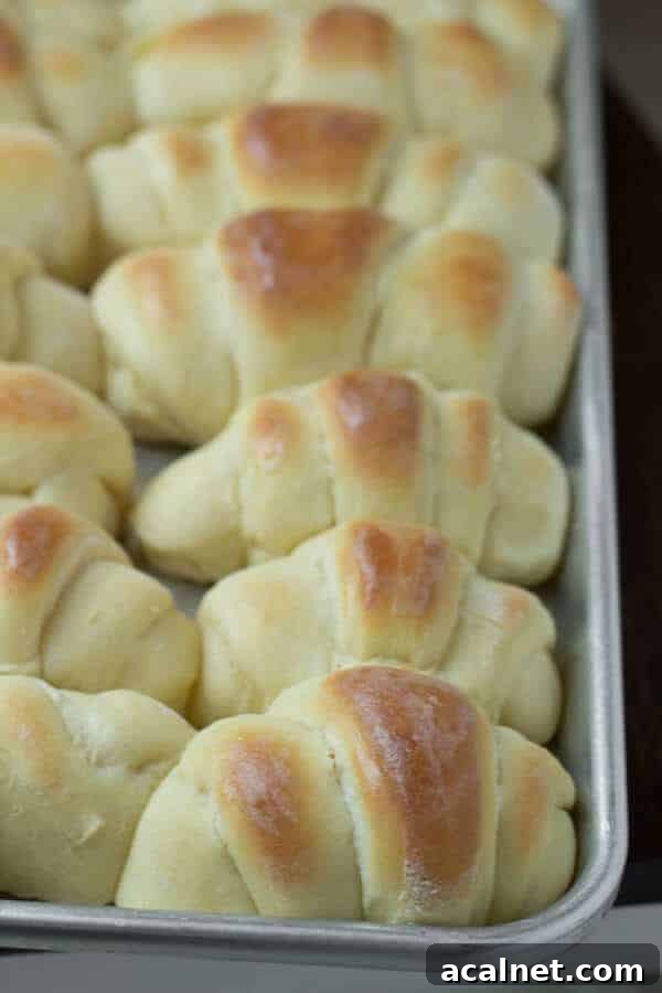 One-Hour Dinner Rolls: Quick Soft Homemade Rolls in 60 Minutes 4 the rolls royce roll recipe that you must try to believe ohsweetbasil.com