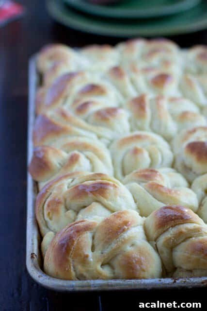 One-Hour Dinner Rolls: Quick Soft Homemade Rolls in 60 Minutes 5 potato rolls ohsweetbasil.com