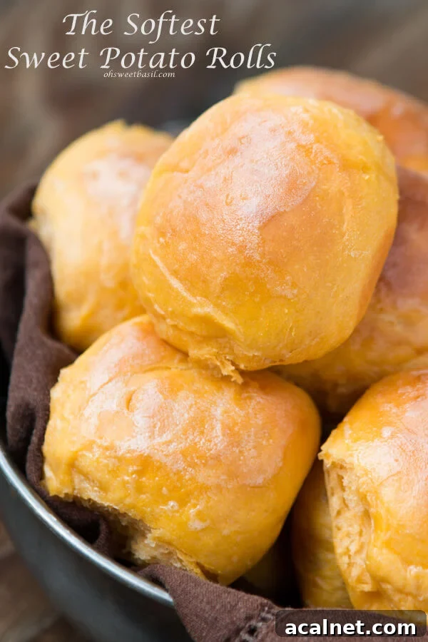One-Hour Dinner Rolls: Quick Soft Homemade Rolls in 60 Minutes 6 My New Obsession- The BEST Sweet Potato Rolls! Ohsweetbasil.com
