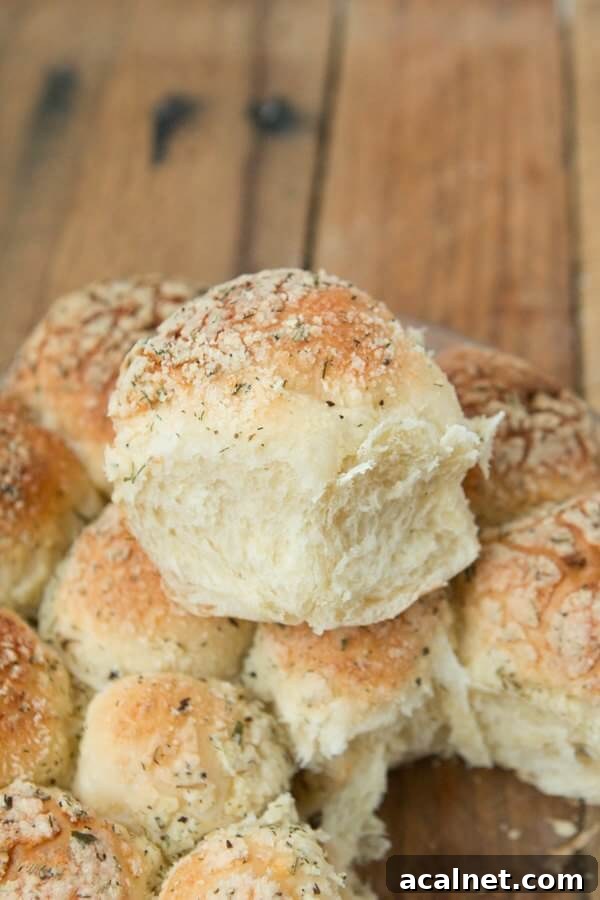 One-Hour Dinner Rolls: Quick Soft Homemade Rolls in 60 Minutes 7 I gave these a try thinking they would be good, but holy moly! They are AWESOME!! cheesy herb bread ohsweetbasil.com
