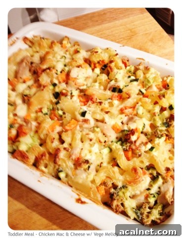 Pasta bake with vegetables