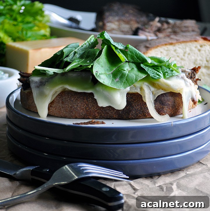 An open face Pot roast sandwich on a plate
