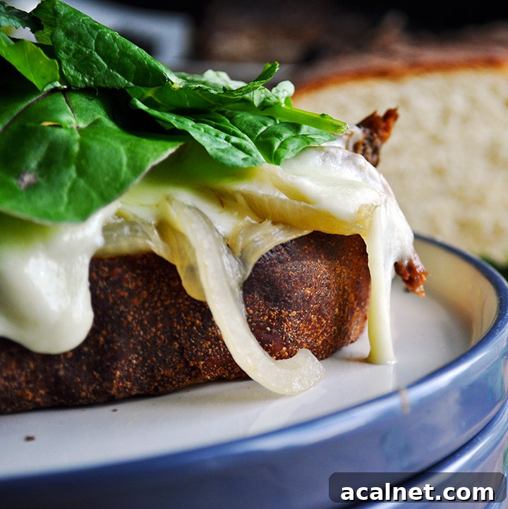 Pot roast sandwich