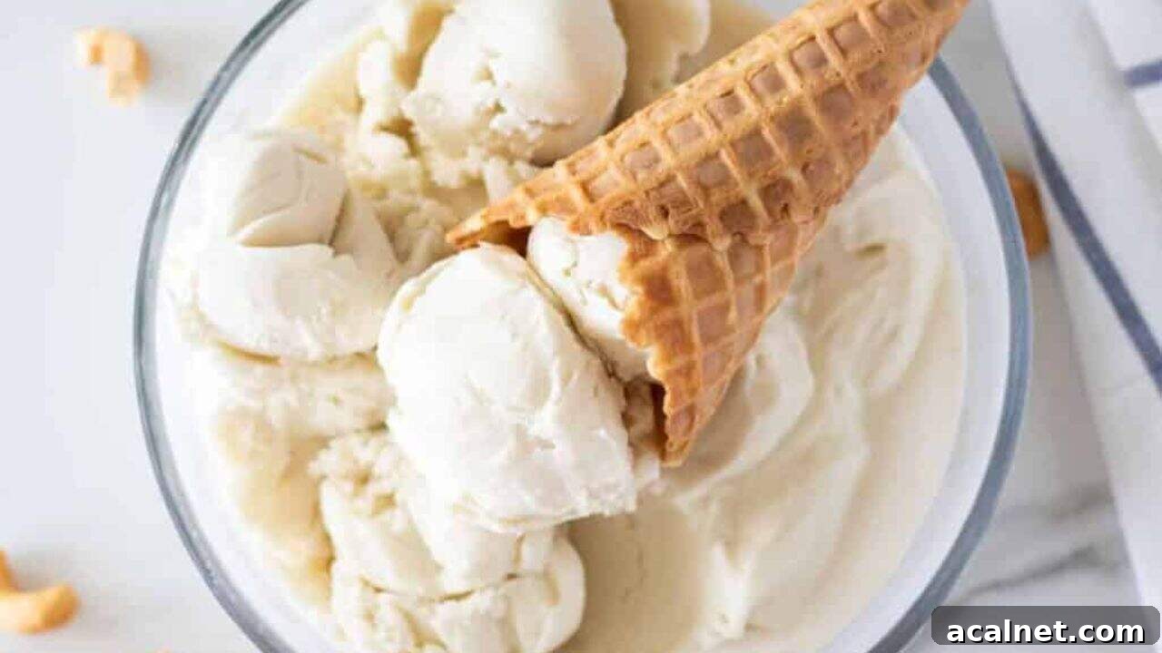 Coconut Cashew Vanilla Ice Cream