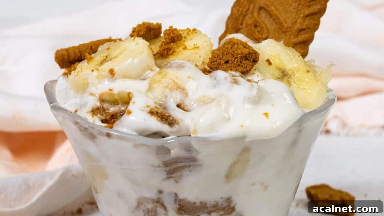 Homemade Vegan Banana Pudding Recipe