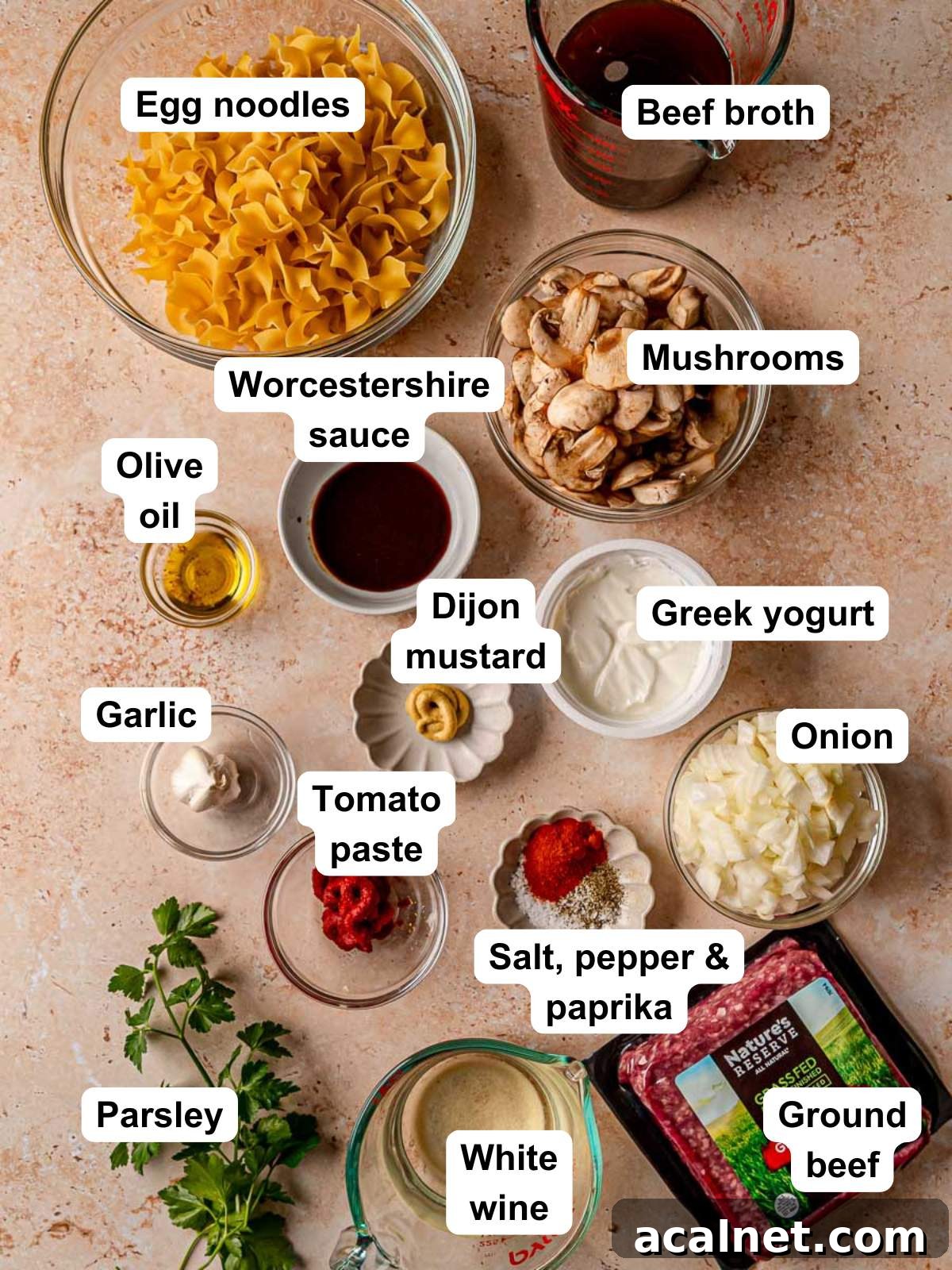Ingredients for ground beef stroganoff.