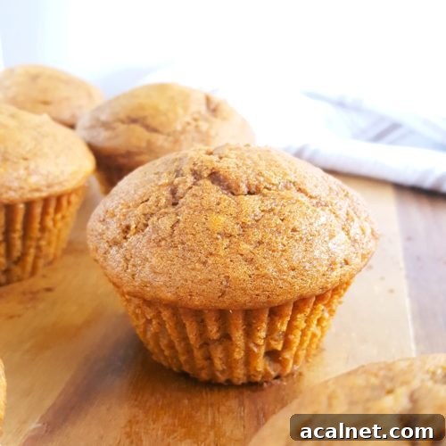 Basic Pumpkin Muffin Recipe