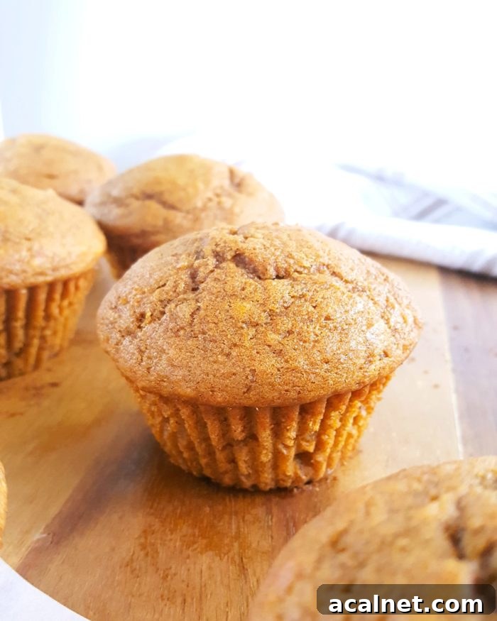 Basic Pumpkin Muffin Recipe - Easy, simple ingredients, dairy-free, one bowl, no mixer needed. These moist, soft, & fluffy pumpkin muffins are the best I've ever had! | Beat Bake Eat