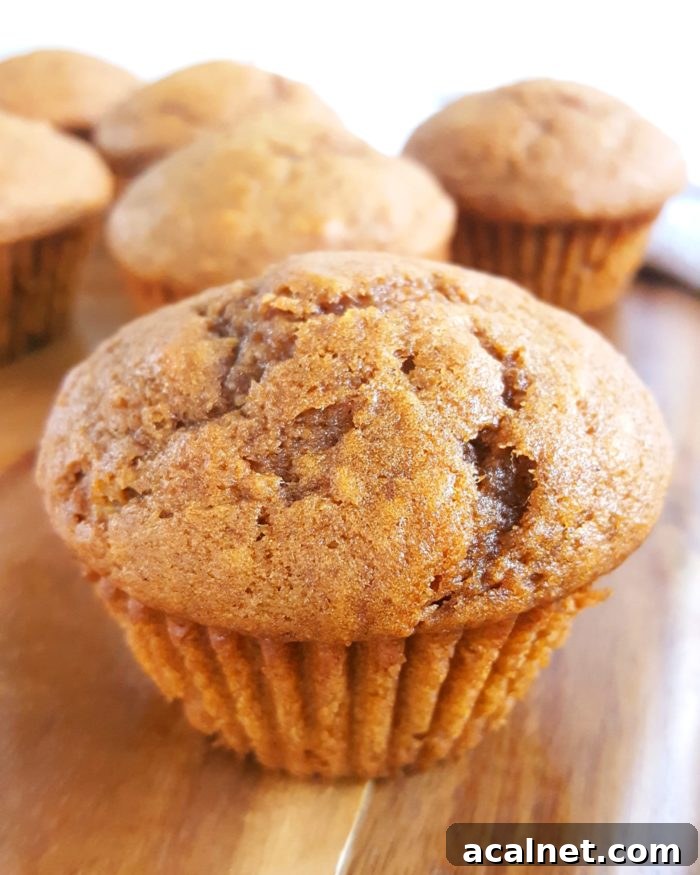 Basic Pumpkin Muffin Recipe - Easy, simple ingredients, dairy-free, one bowl, no mixer needed. These moist, soft, & fluffy pumpkin muffins are the best I've ever had! | Beat Bake Eat