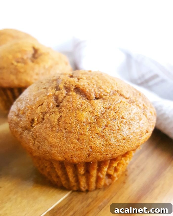 Basic Pumpkin Muffin Recipe - Easy, simple ingredients, dairy-free, one bowl, no mixer needed. These moist, soft, & fluffy pumpkin muffins are the best I've ever had! | Beat Bake Eat
