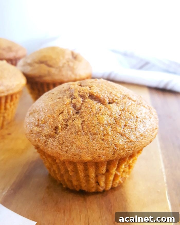 Basic Pumpkin Muffin Recipe - Easy, simple ingredients, dairy-free, one bowl, no mixer needed. These moist, soft, & fluffy pumpkin muffins are the best I've ever had! | Beat Bake Eat