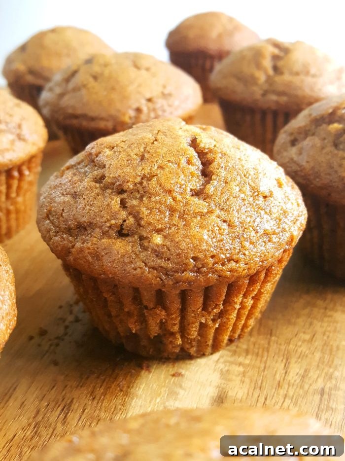 Pumpkin Applesauce Muffins - Moist pumpkin apple muffins made with oil, brown sugar, and no dairy. Easy to make, ready in 30 minutes, and perfect for a Fall breakfast for snack! | Beat Bake Eat