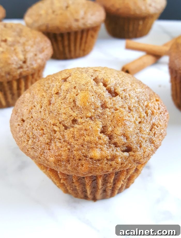Best Applesauce Muffins Recipe Ever - The best easy one bowl recipe for moist applesauce muffins made with oil, perfectly sweetened, and spiced with cinnamon and nutmeg. | Beat Bake Eat