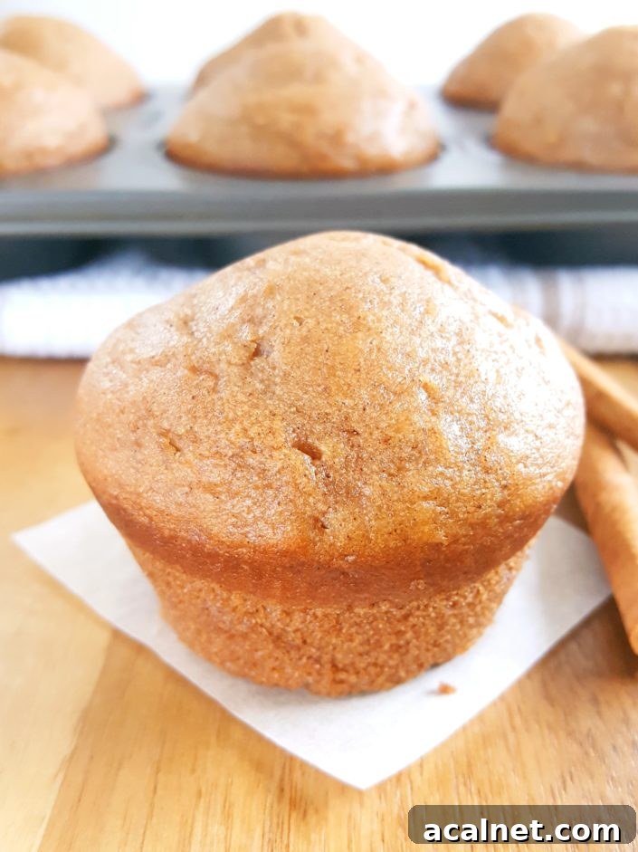Brown Sugar Sour Cream Spice Muffins - Soft and moist spice muffins made with brown sugar and sour cream. Easy one-bowl recipe ready in 30 minutes. | Beat Bake Eat