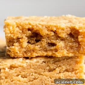 Chewy Peanut Butter Cookie Bar Recipe for Busy Bakers 10 peanut butter cookie bar with a bite.