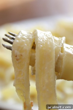 dairy free alfredo sauce