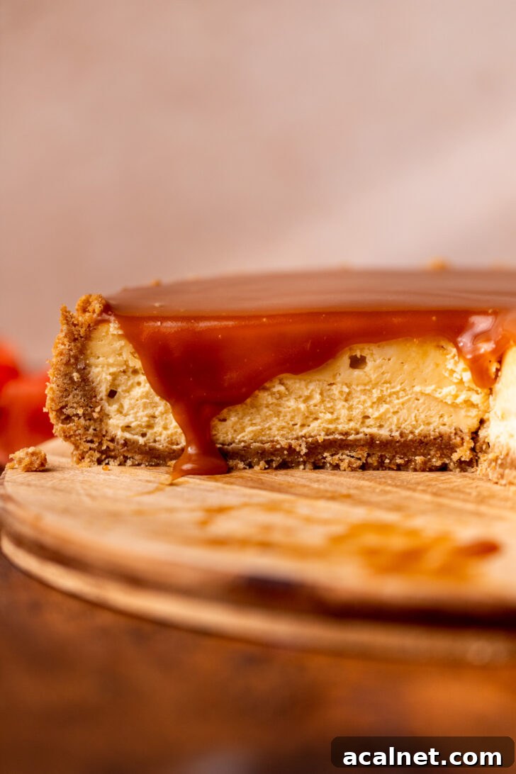 Side view of cheesecake.