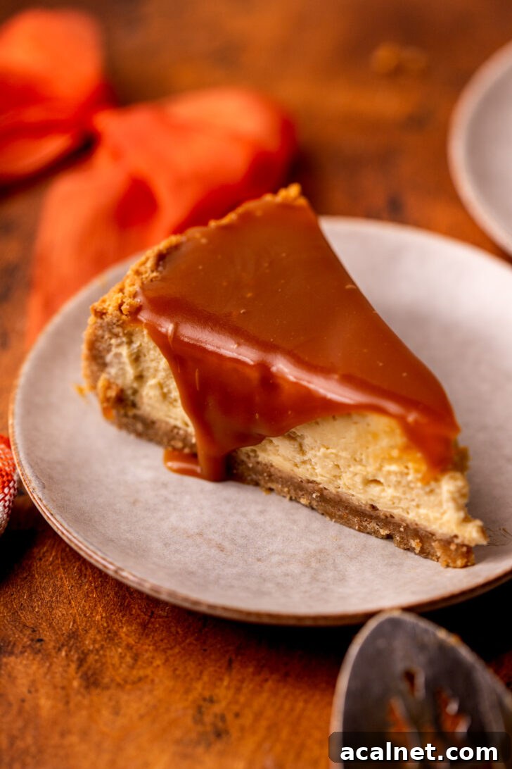 Top view of a slice of caramel cheesecake.