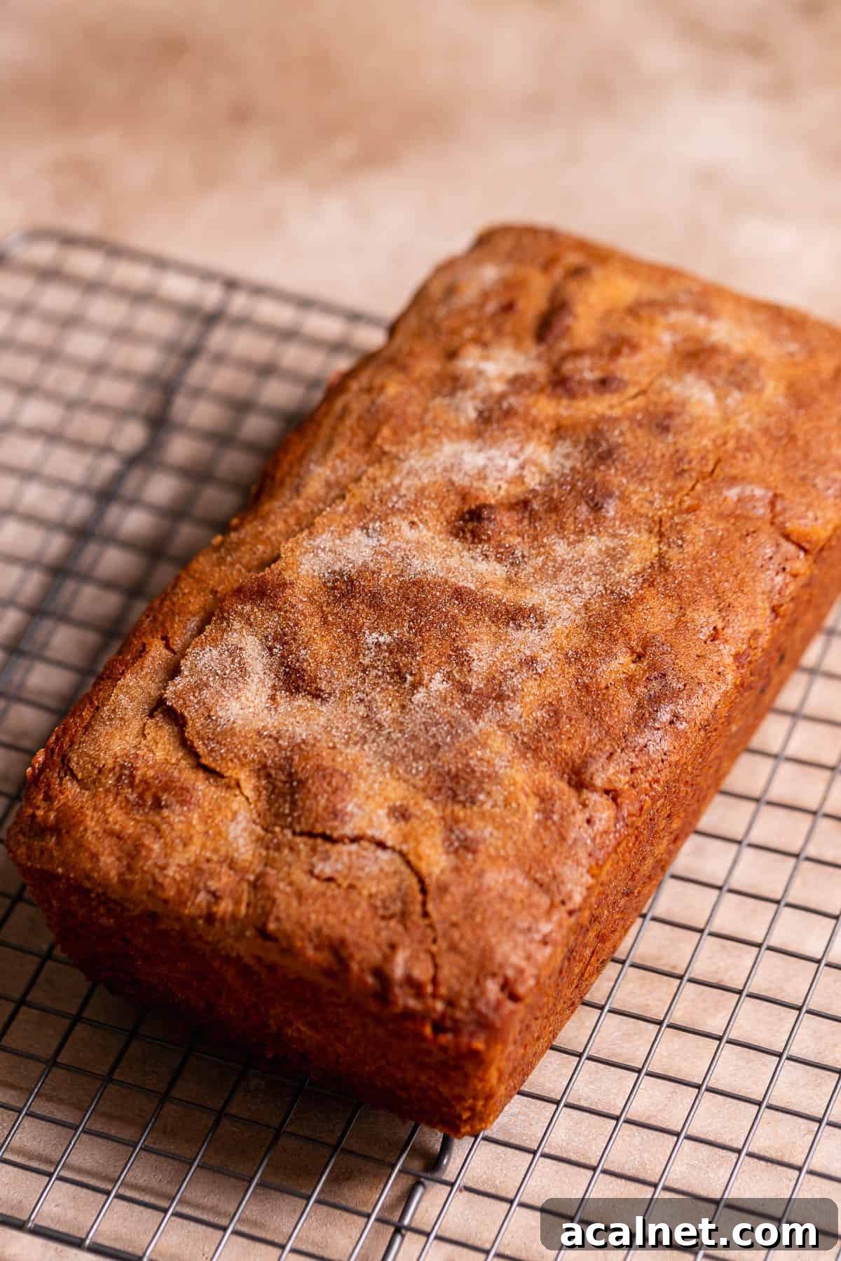 Apple loaf cake cooling on a wire rack.