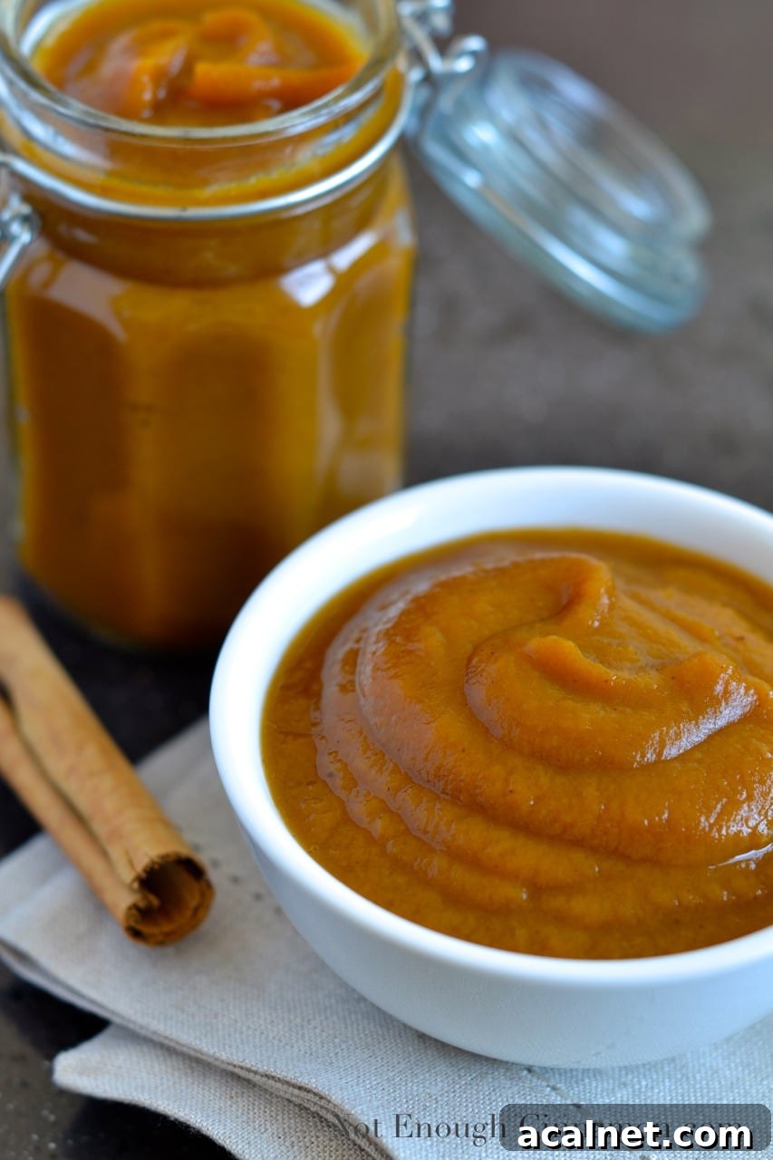 Homemade Slow Cooker Pumpkin Applesauce Recipe 4 Slow-Cooker Pumpkin Applesauce - Not Enough Cinnamon.com