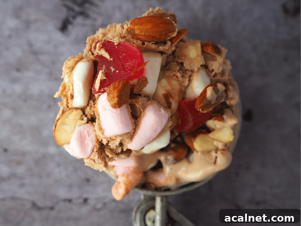 Scoop of rocky road ice cream on ice cream scoop.